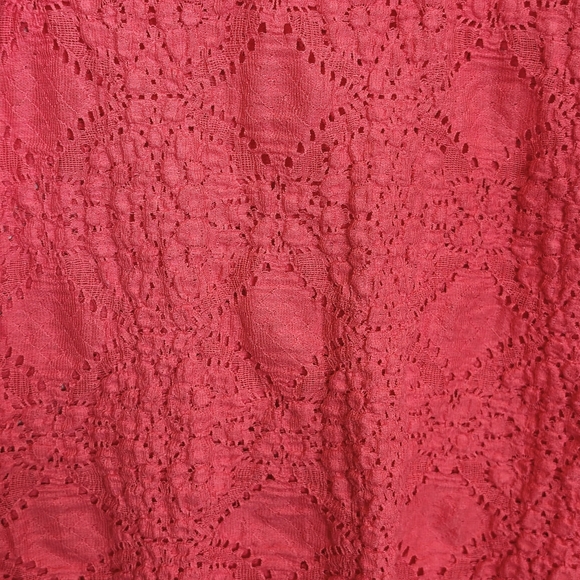 FREE PEOPLE Pink Lace Long Sleeve Top Large Festival Boho Festive Cottagecore - Picture 4 of 5